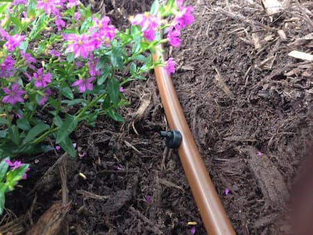 Plant Irrigation System Installation in North Myrtle Beach, SC